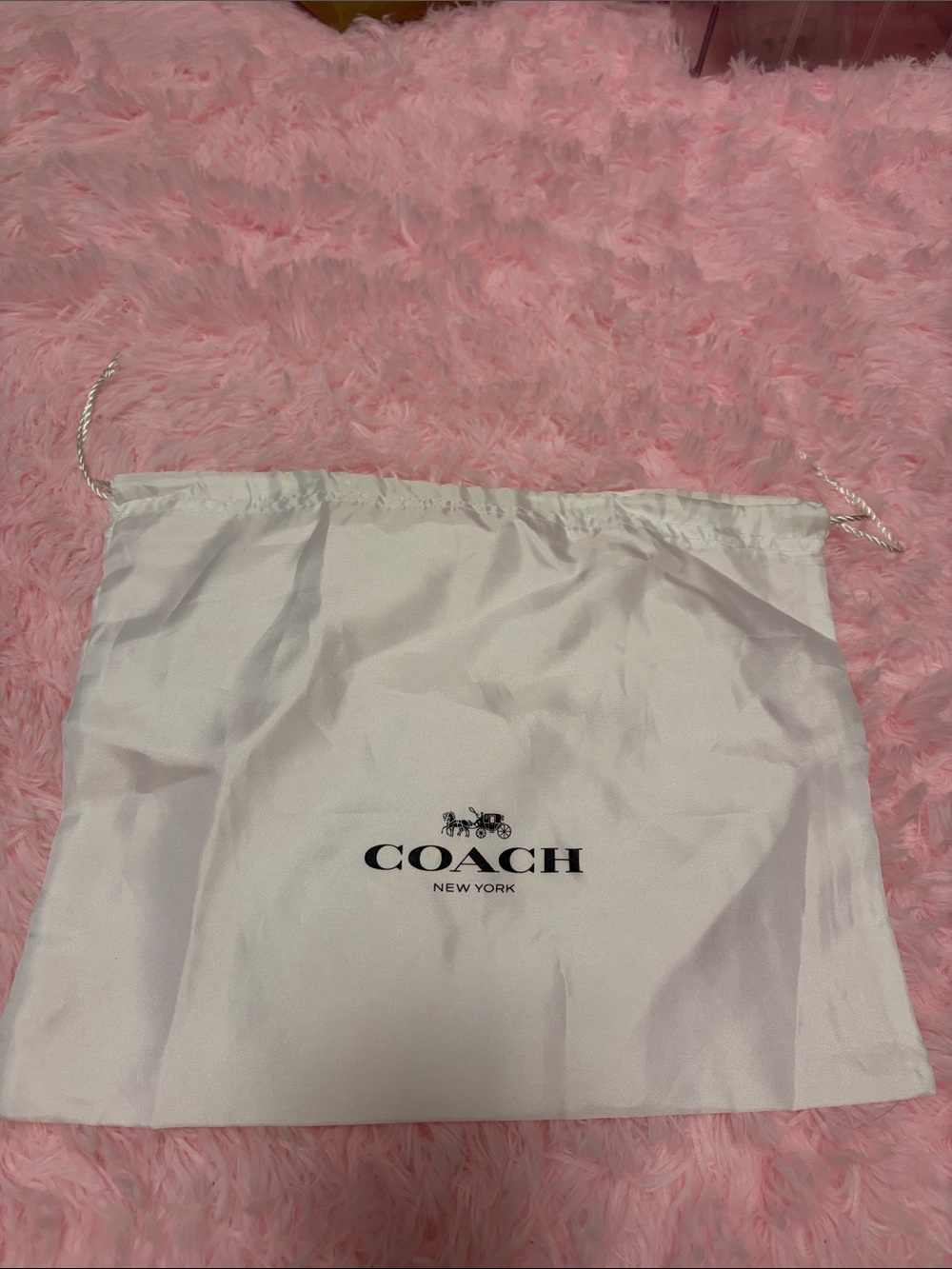 Coach White Drawstring Logo Dust Bag (has hole)